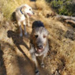 Meet your Posher, Lesle